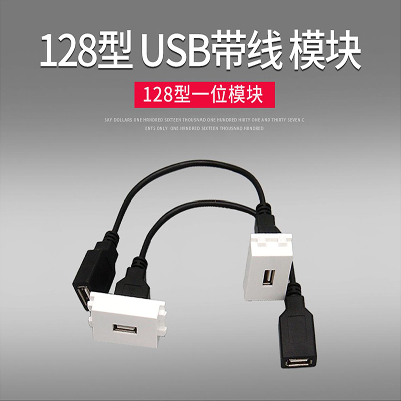 128型 USB带线 模块